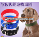 classic pet dog accessories blue nylon webbing dog collar for outside lead dog